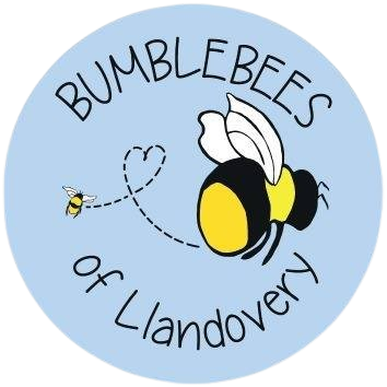Home | Bumblebees of Llandovery
